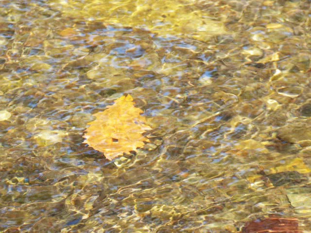 滝野すずらん公園渓流口紅葉