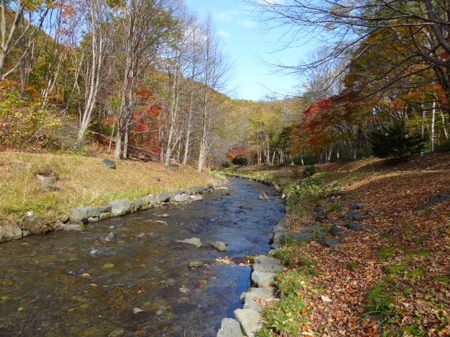 滝野すずらん公園渓流口紅葉