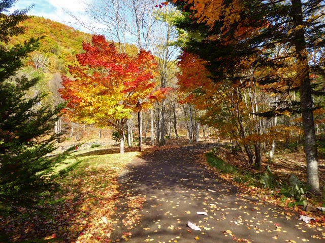 滝野すずらん公園渓流口紅葉