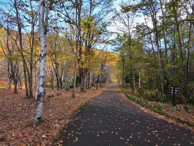 滝野すずらん公園渓流口紅葉