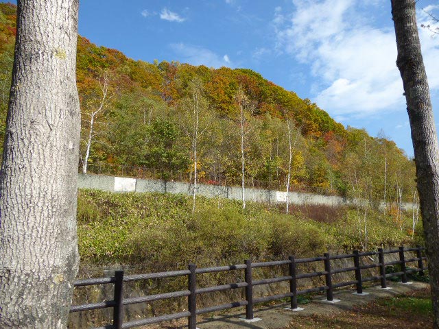 滝野すずらん公園渓流口紅葉