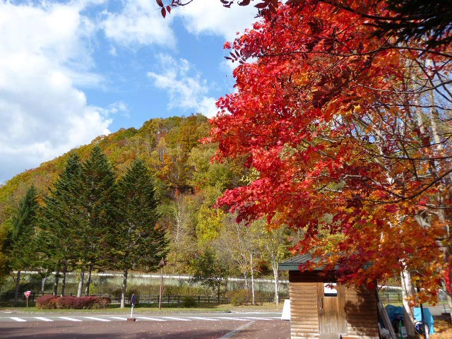 滝野すずらん公園渓流口紅葉