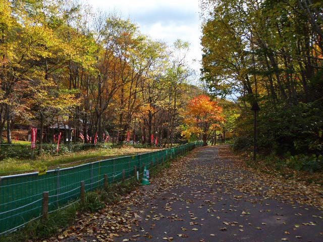 滝野すずらん公園渓流口紅葉