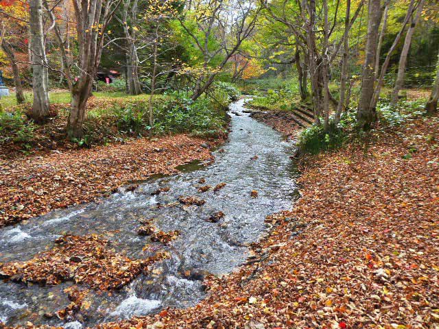 滝野すずらん公園渓流口紅葉