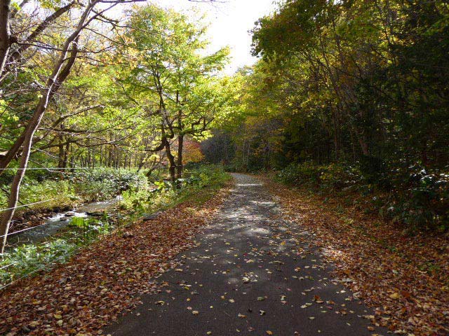 滝野すずらん公園渓流口紅葉