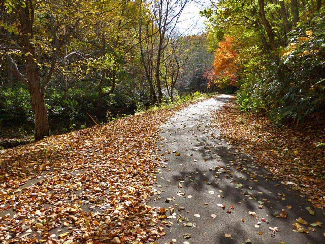 滝野すずらん公園渓流口紅葉