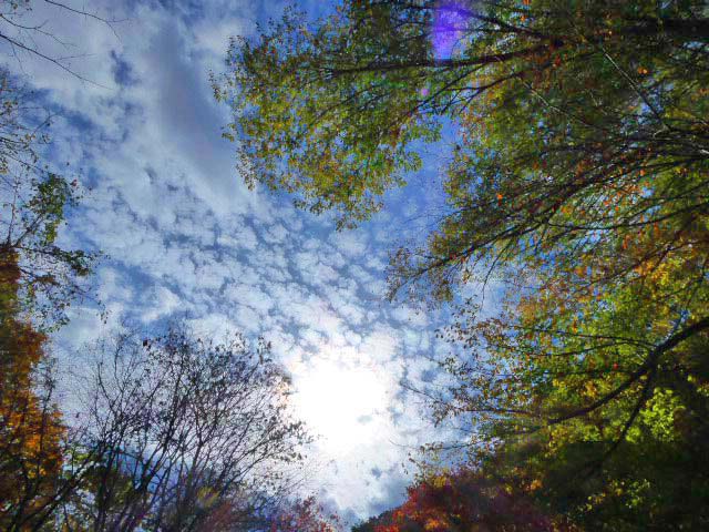 滝野すずらん公園渓流口紅葉