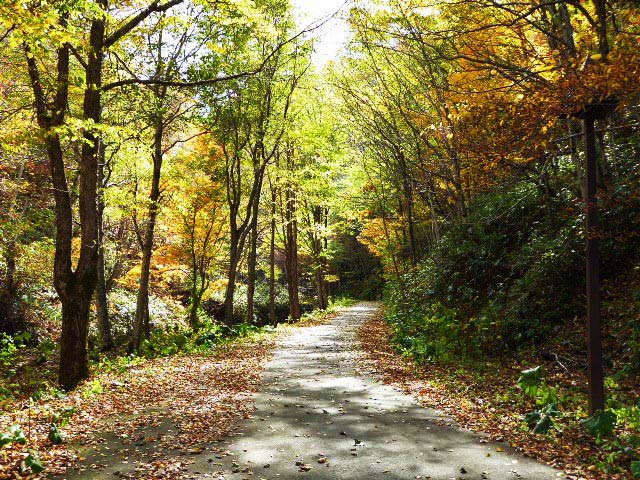 滝野すずらん公園渓流口紅葉