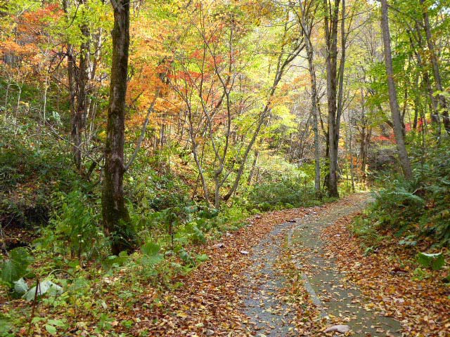 滝野すずらん公園渓流口紅葉