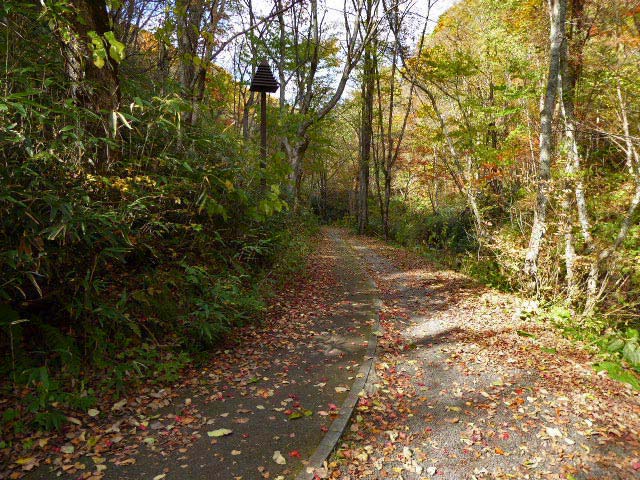 滝野すずらん公園渓流口紅葉