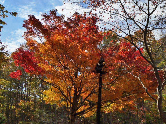 滝野すずらん公園渓流口紅葉