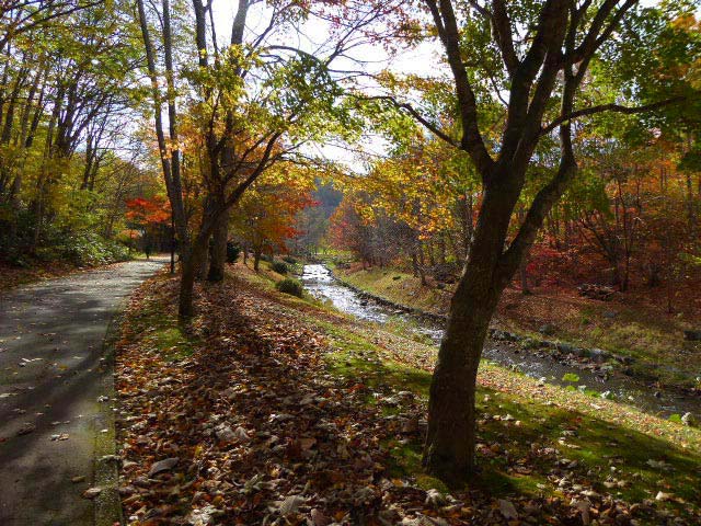 滝野すずらん公園渓流口紅葉