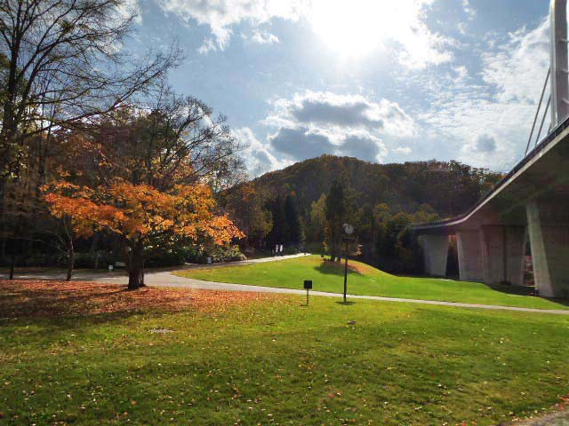 滝野すずらん公園渓流口紅葉