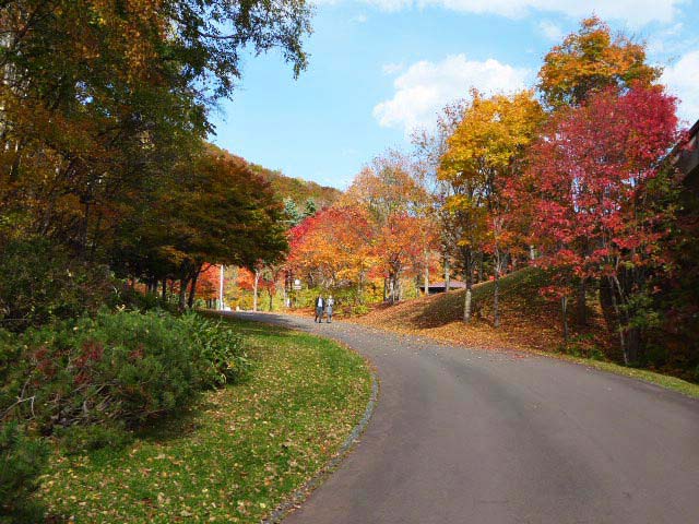 滝野すずらん公園渓流口紅葉