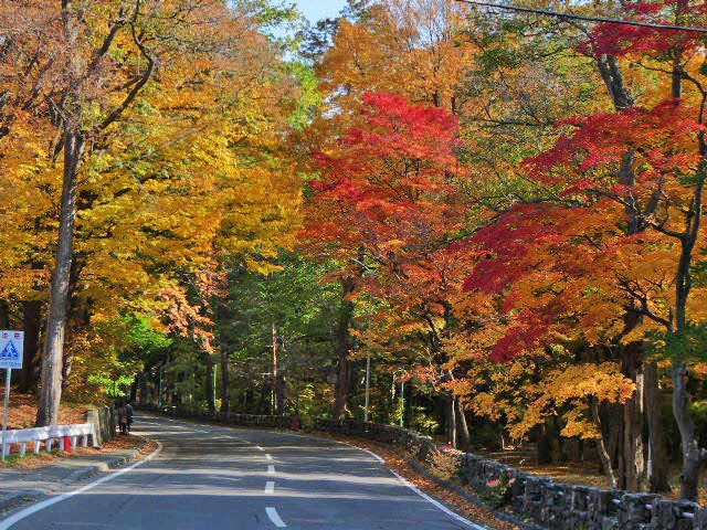 円山公園、紅葉