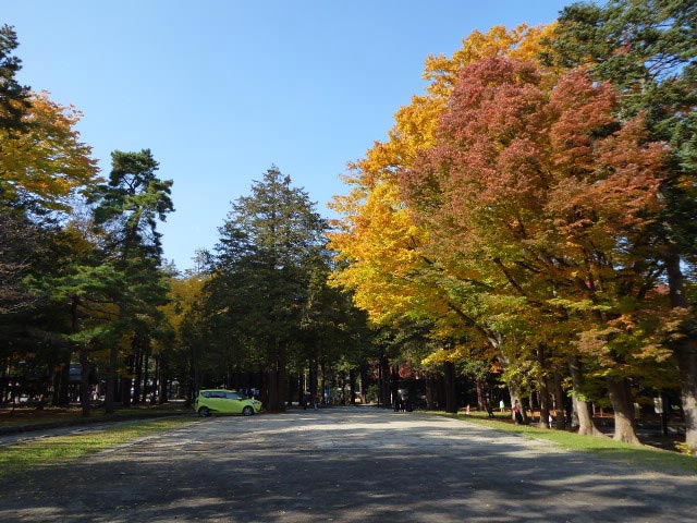 円山公園、紅葉