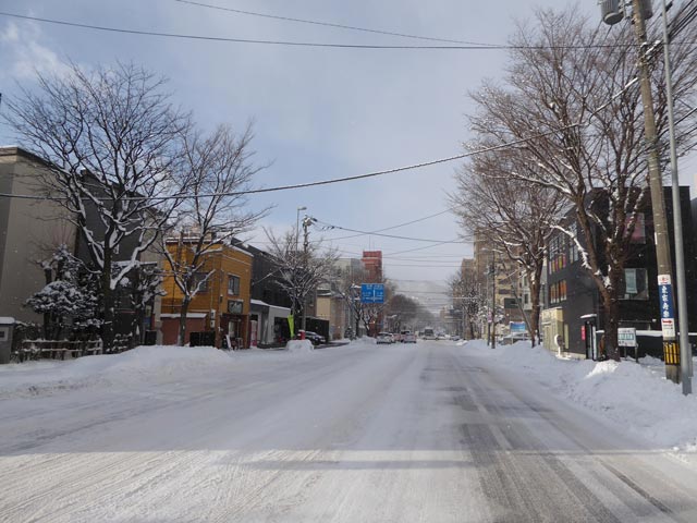 さっぽろ雪景色