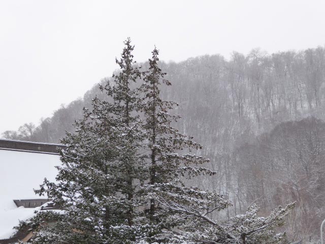 さっぽろ雪景色