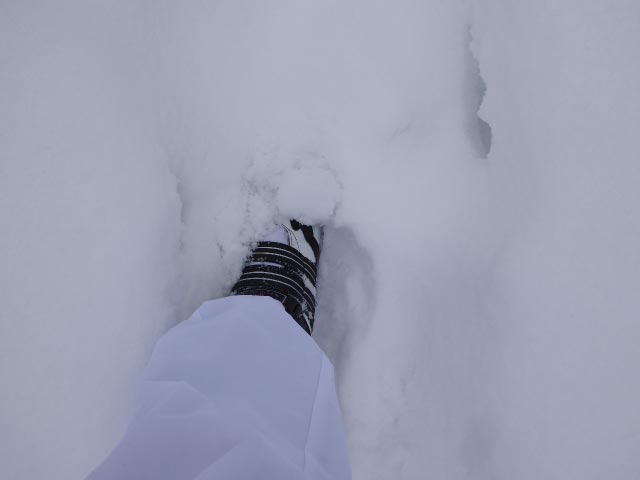 さっぽろ雪景色