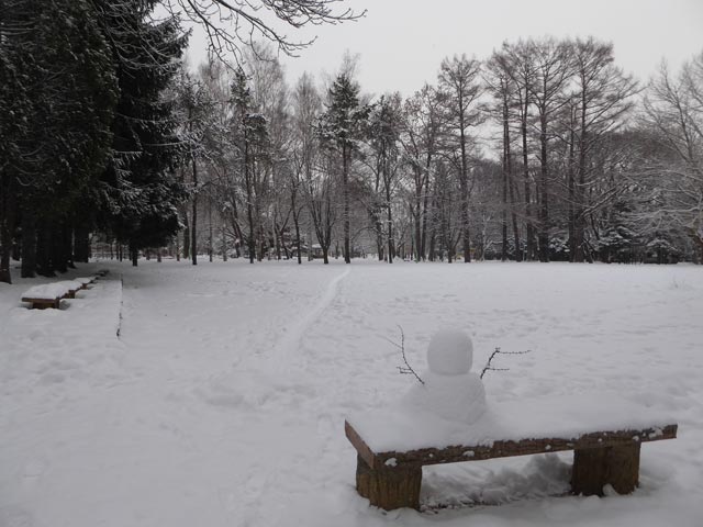 さっぽろ雪景色