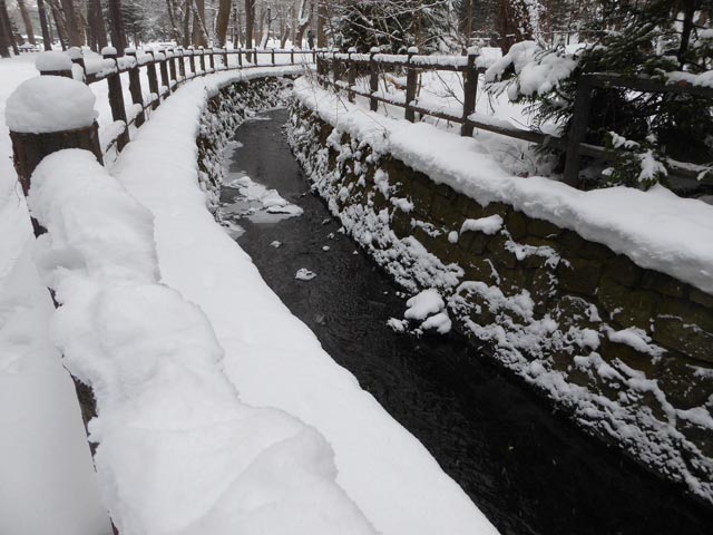 さっぽろ雪景色