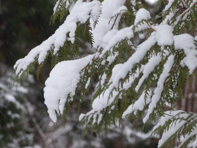 さっぽろ雪景色