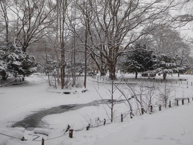 さっぽろ雪景色