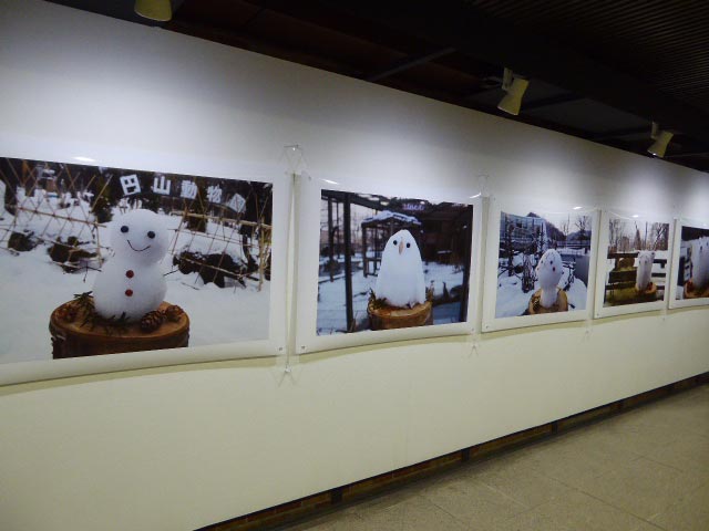 さっぽろ雪景色