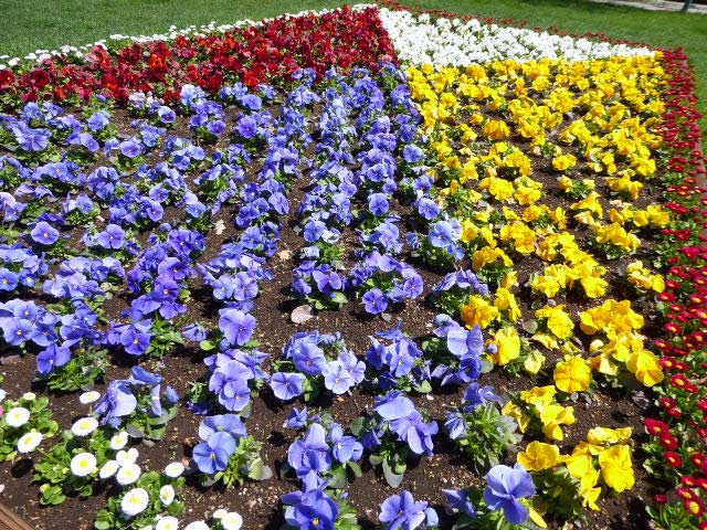 大通公園、花