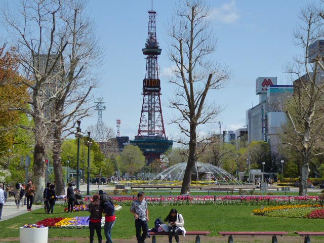 大通公園、花