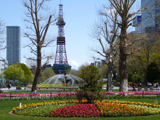 大通公園、花