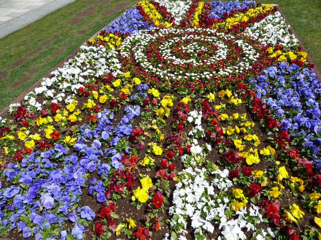 大通公園、花