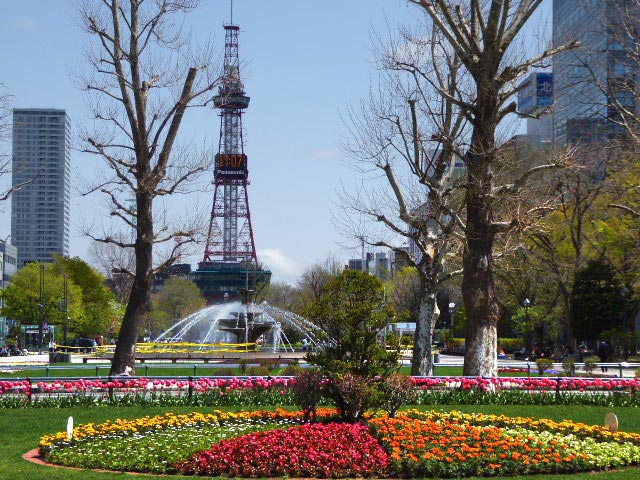 大通公園、花