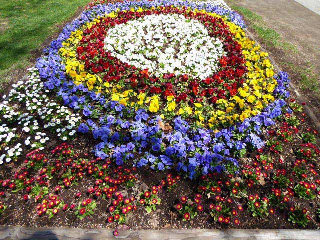 大通公園、花