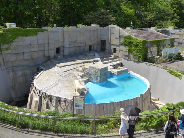 円山動物園、ホッキョクグマ館