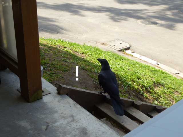 円山動物園、男爵コロッケバーガー