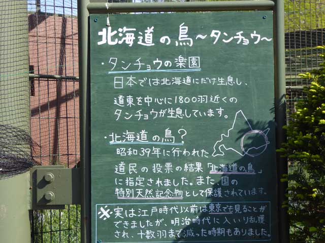 円山動物園、タンチョウ