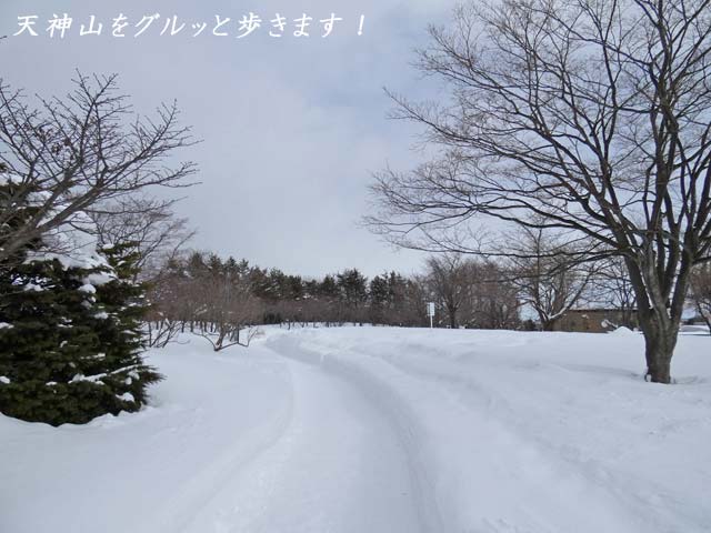 天神山緑地