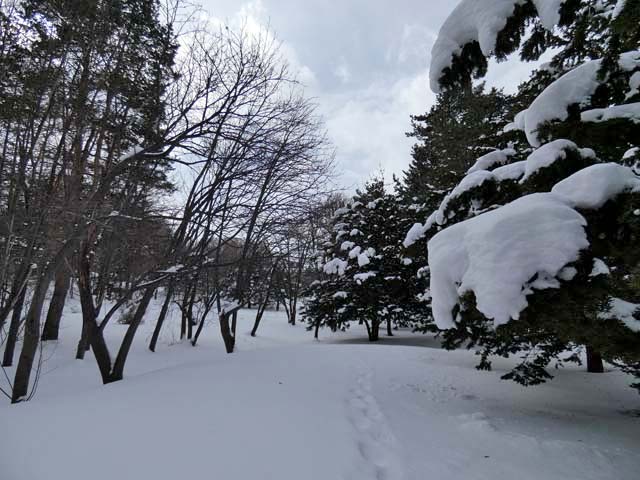 天神山緑地