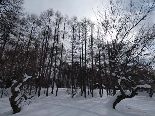 天神山緑地