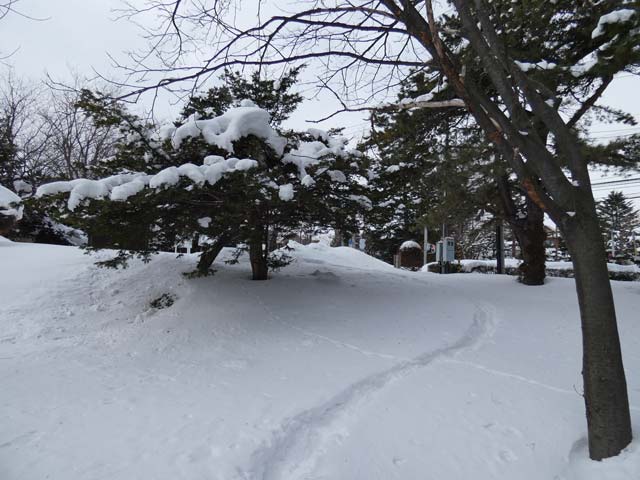 天神山緑地