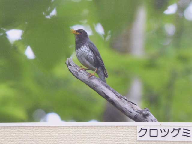 円山公園パークセンター