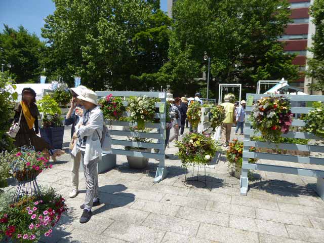 花フェス2019札幌