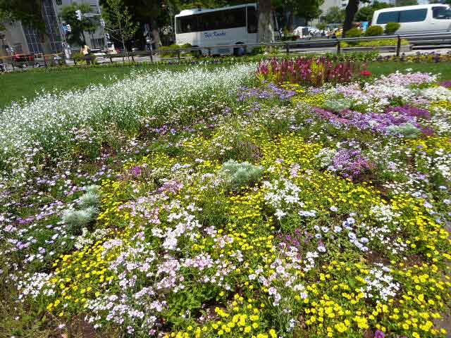 花フェス2019札幌