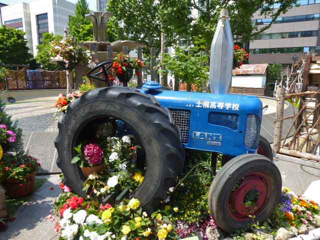 花フェス2019札幌