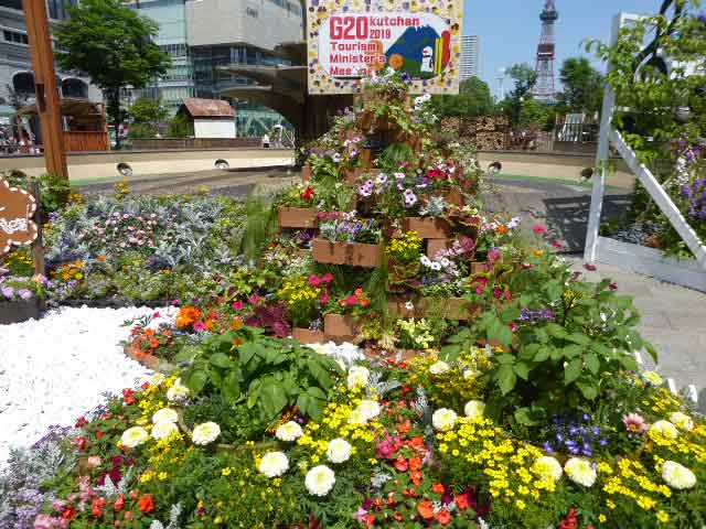 花フェス2019札幌