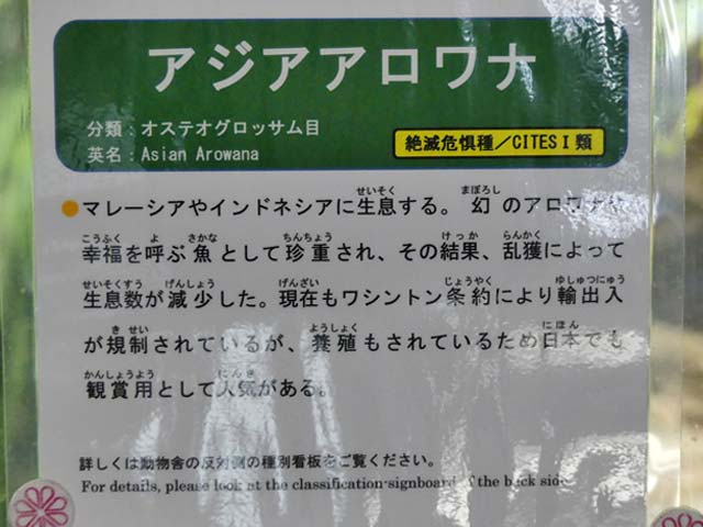 札幌円山動物園