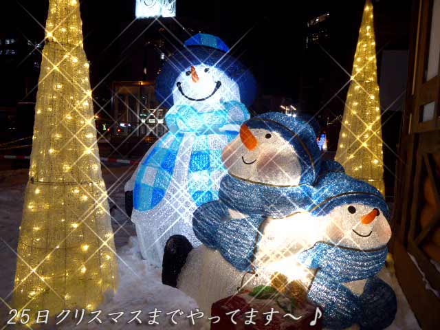 2019年 第18回ミュンヘン・クリスマス市 in Sapporo