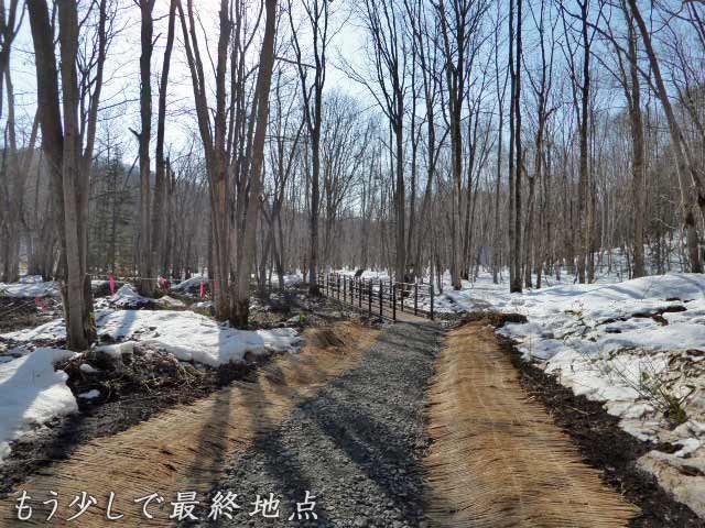 再び聖地された道