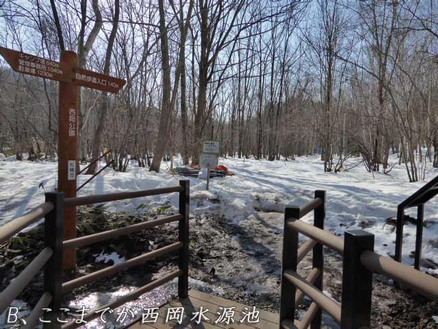 ここまでが西岡公園